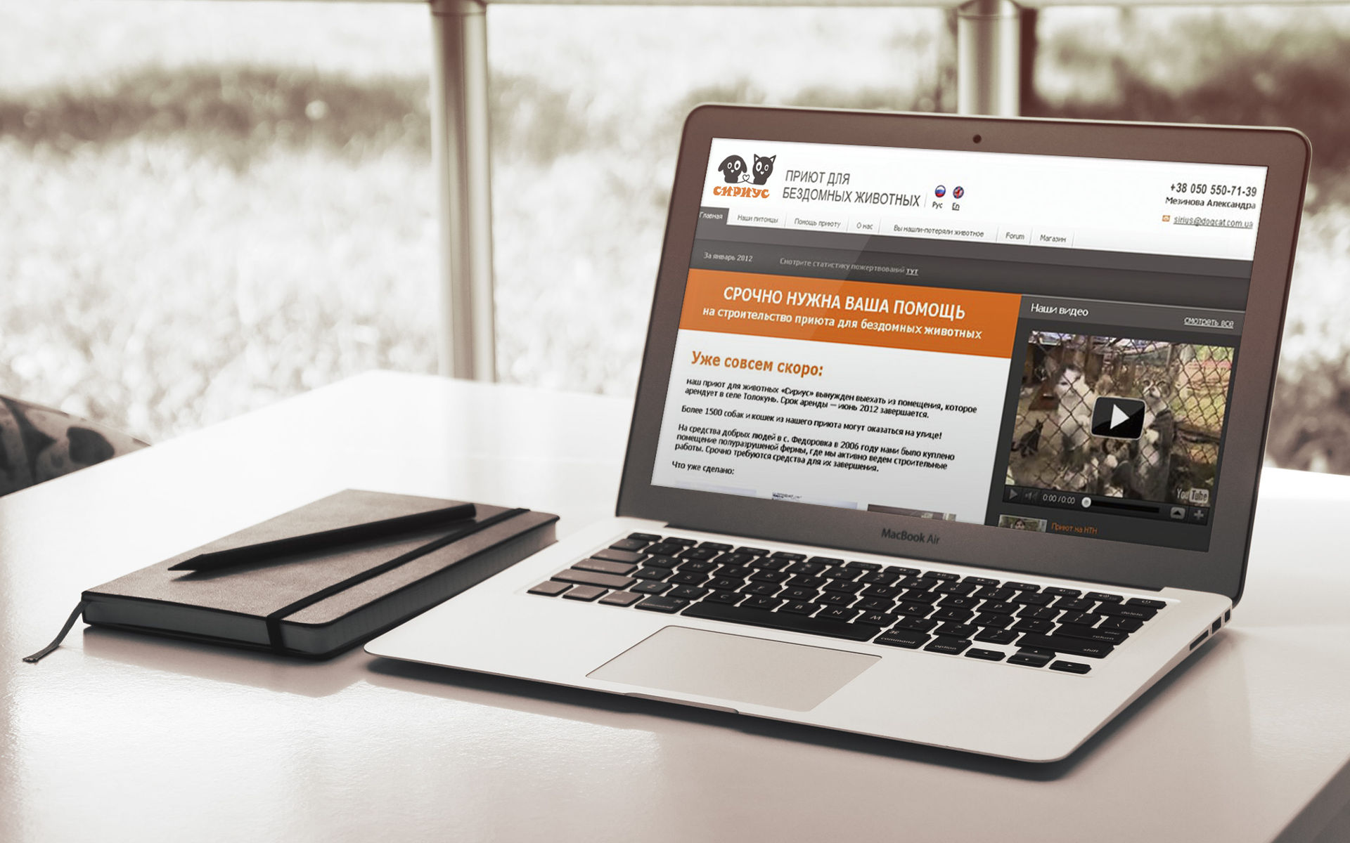 Дизайн of the website для приюта домашних животных, Animal shelter web design