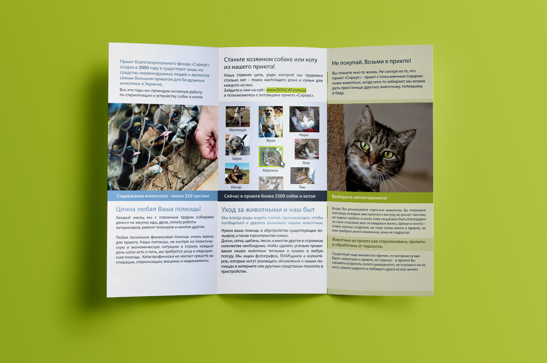 Flyer design для приюта животных, Animal shelter flyer design